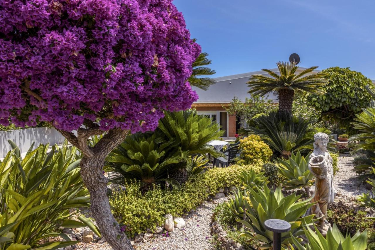 Villa Seahorse, Fontane Bianche, Siracusa, Beachfront, Great Wifi, Beautiful Garden Exteriér fotografie